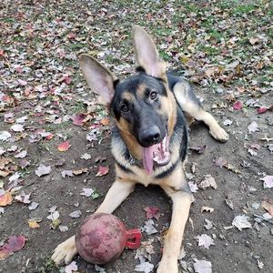 Meet your Posher, Greg